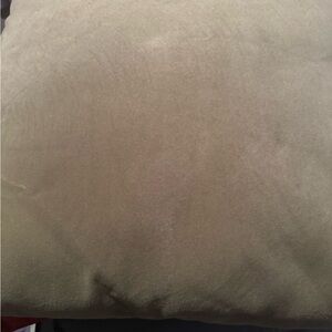 Soft Olive Green Pillow